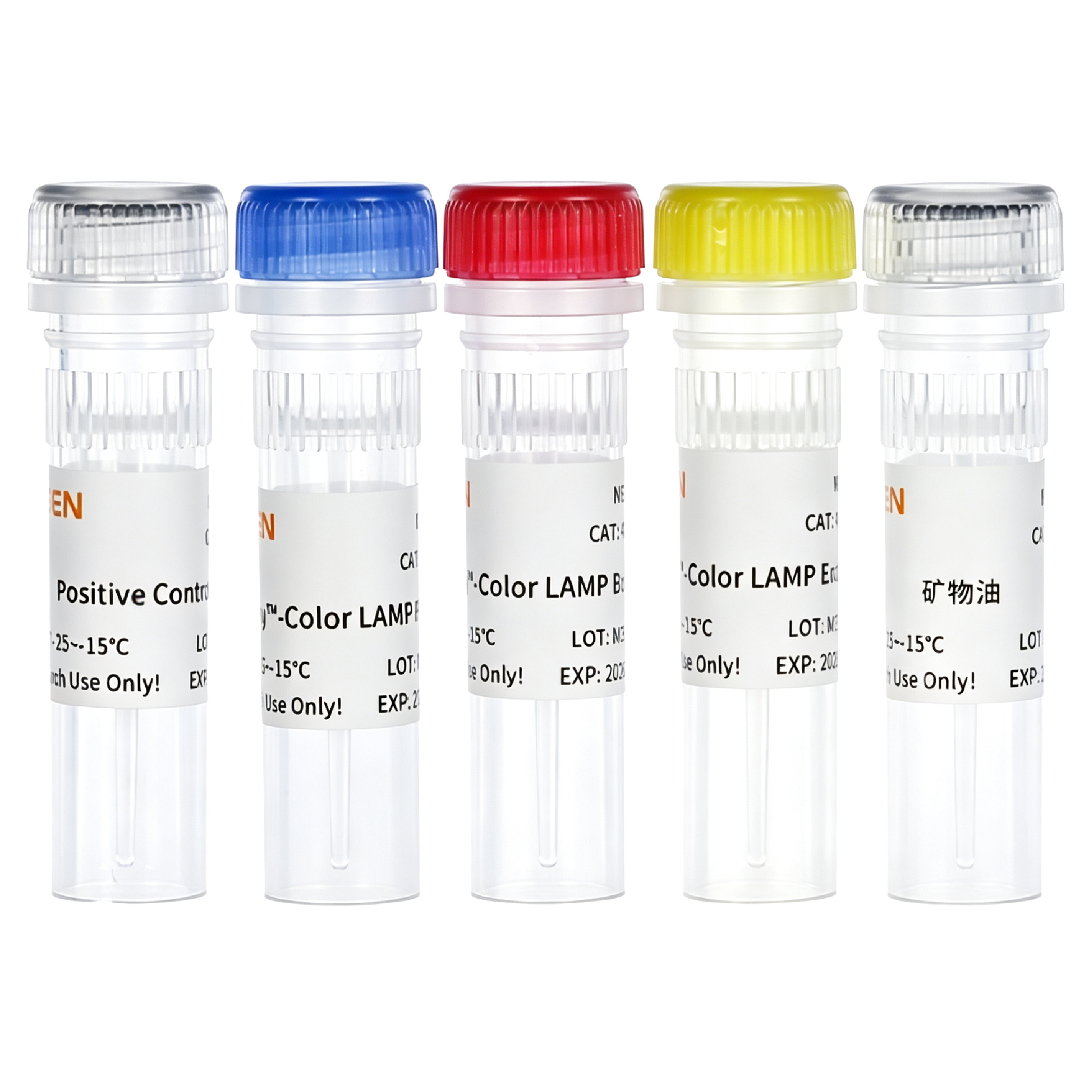 MycAway™ Plus-Color One-Step Mycoplasma Detection Kit (2G, 40 mins) _ 40615ES
