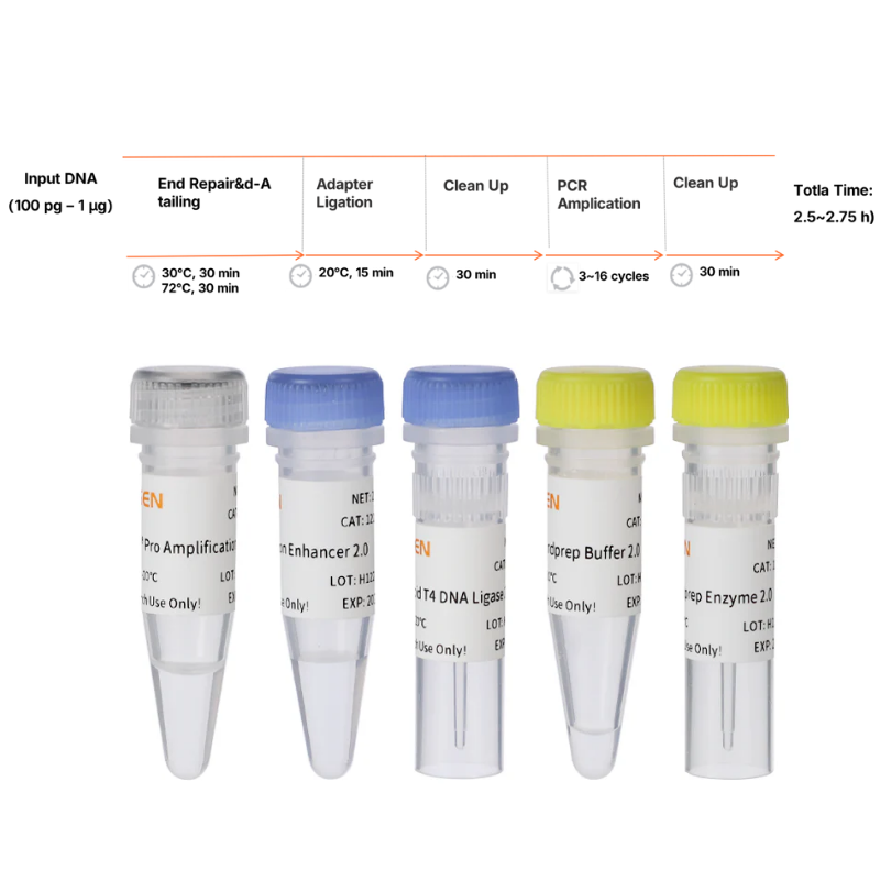 Kit di preparazione della libreria DNA Hieff NGS ™ 2.0 (meccanico) -12927es