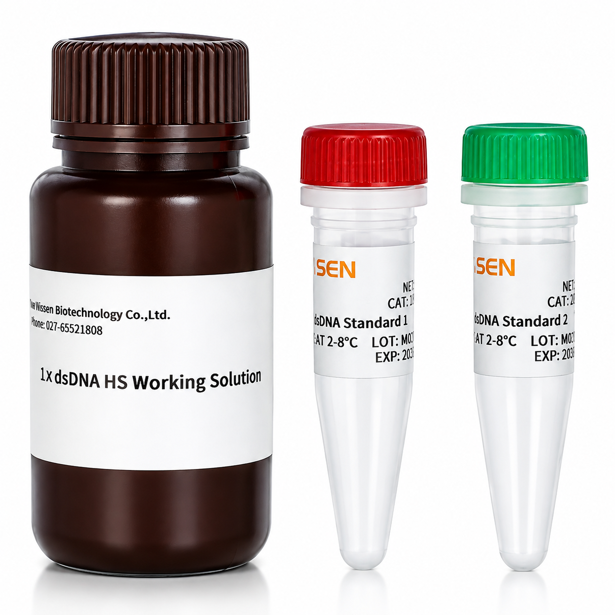 1 × dsDNA HS Assay Kit -12642ES