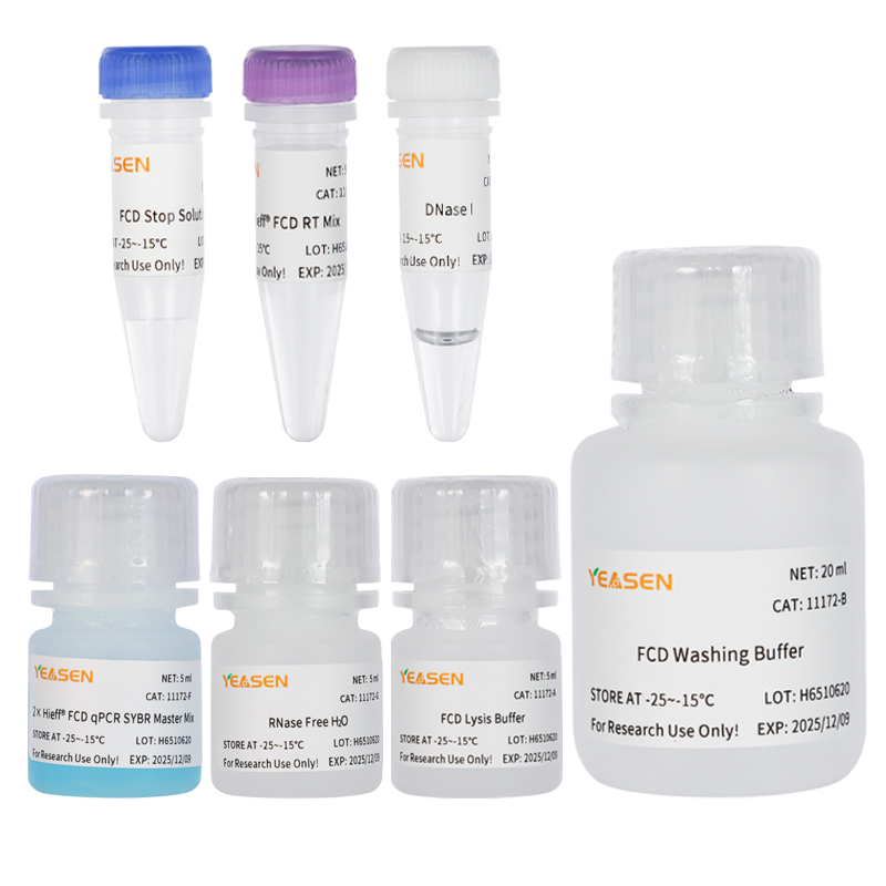 Hieff™ Fast Cell Direct SYBR Green RT-qPCR Kit _ 11172ES