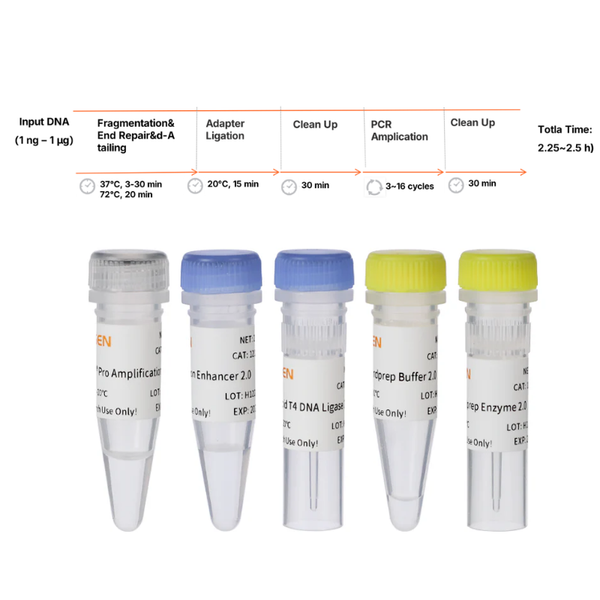 DNA Library Prep Kit V4 -Enzymatic DNA Fragmentation