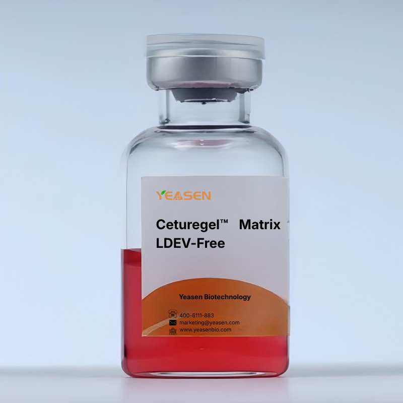 Qeturegel ™ Matrix LDEV -Free -40183ES