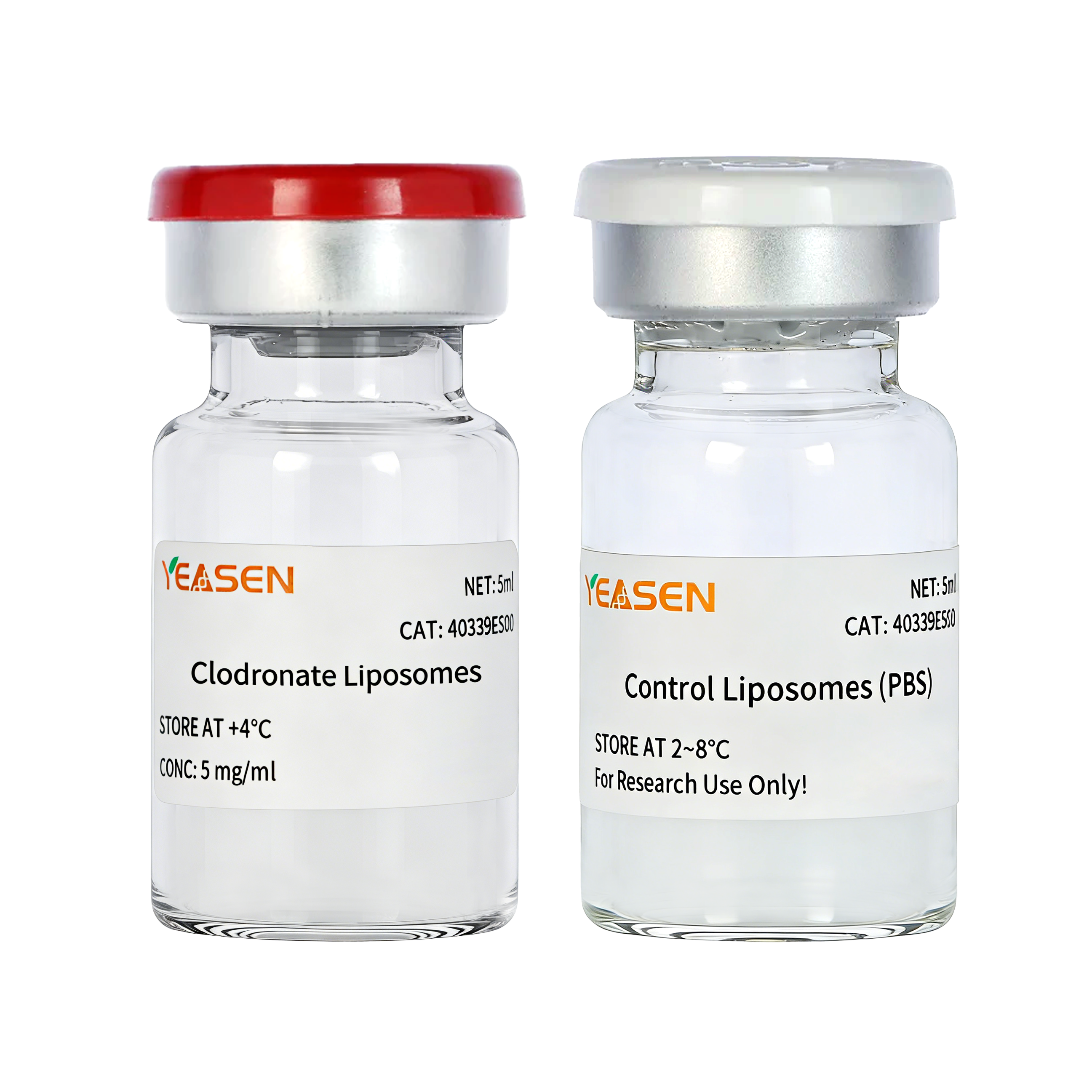 Clodronate Liposomes Kit _ 40339ES