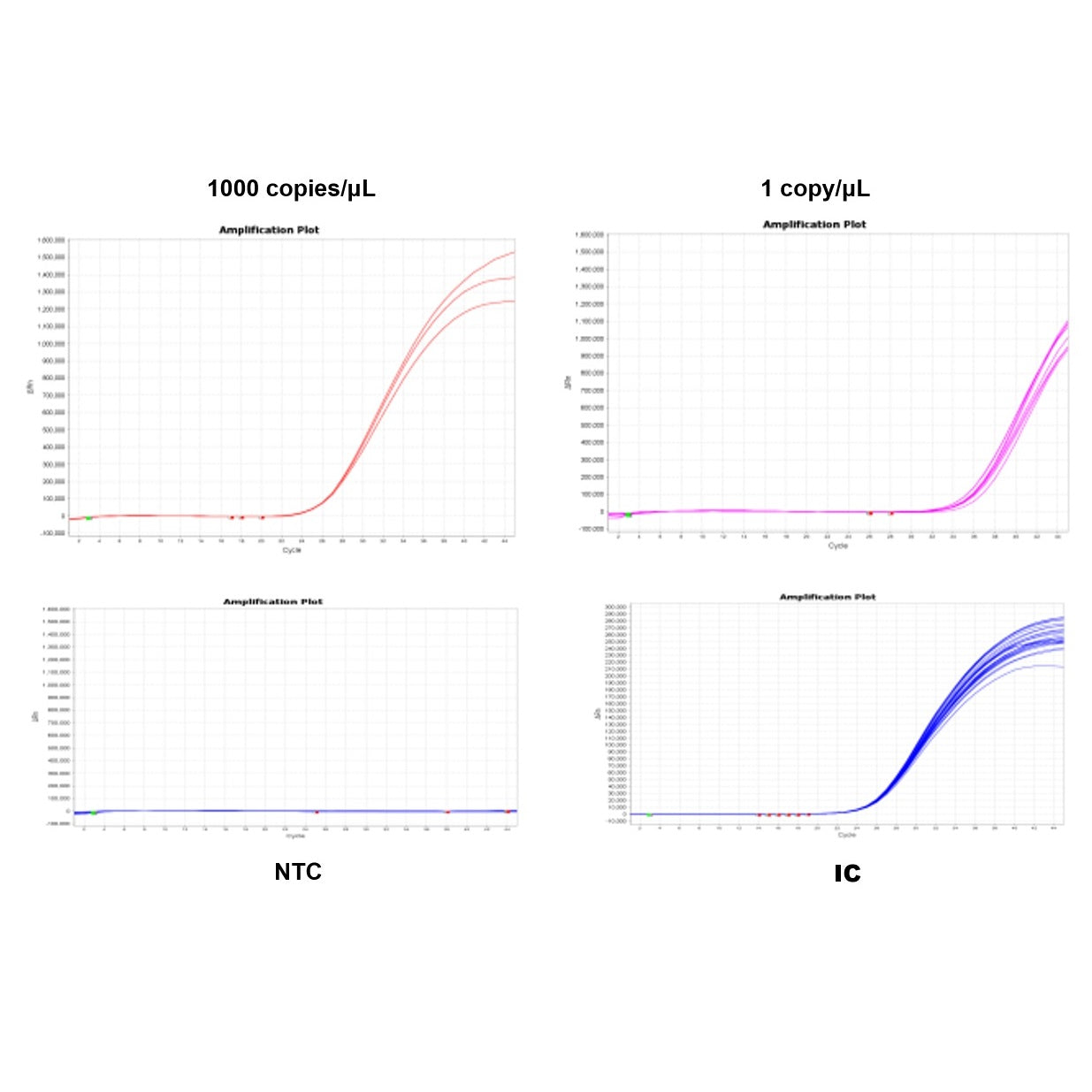Kit Deteksi QPCR MycoPlasma MycoPlasma (2G) -40619es