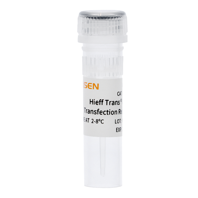 Hieff Trans™ PEI Transfection Reagent -40820ES