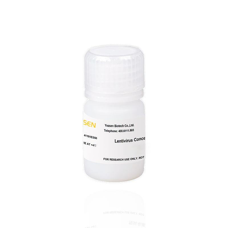 Lentivirus Concentration Solution _ 41101ES