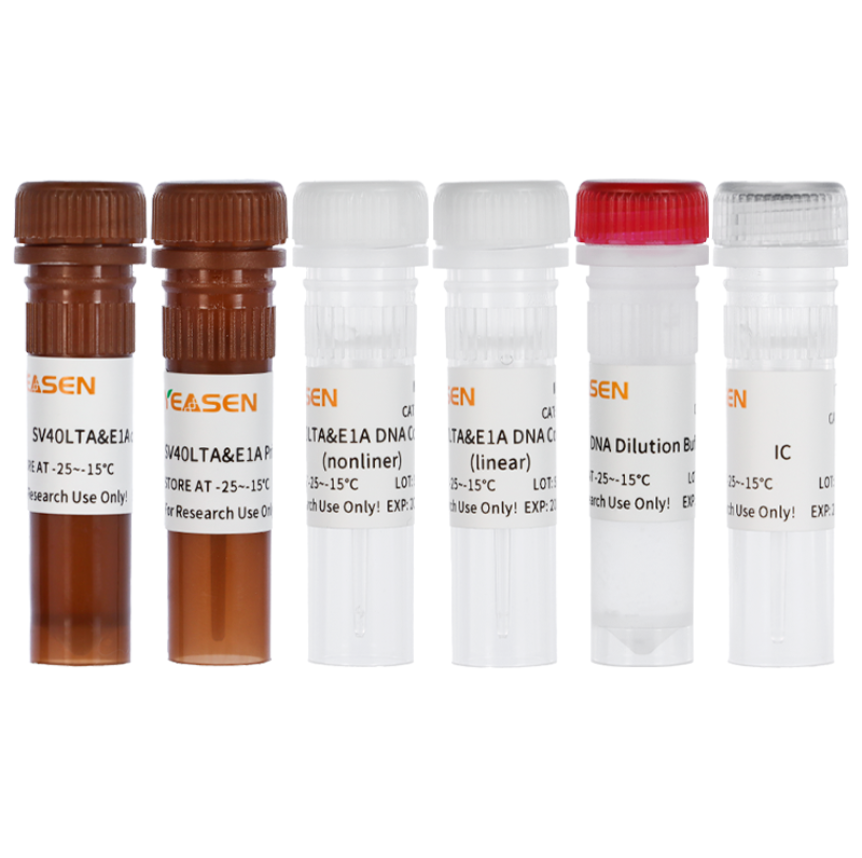 SV40LTA&E1A Residue DNA Detection Kit _ 41310ES