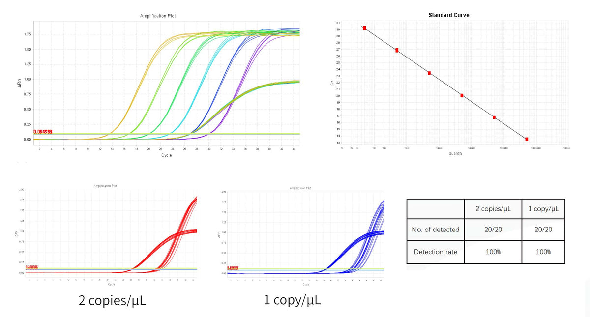 Replication-competent Lentivirus (RCL) Detection Kit