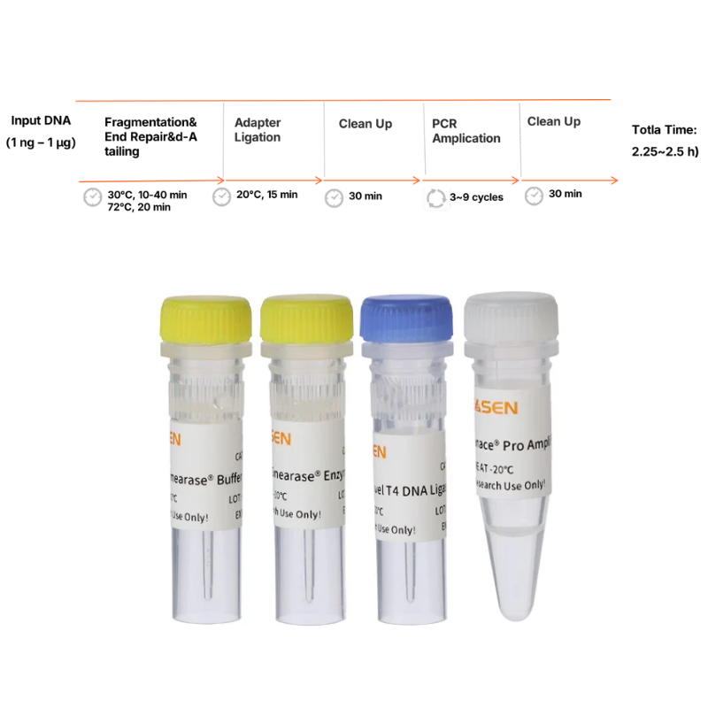 Hieff NGS ™ Onepot Pro DNA Library Prep Kit V3 (enzimatico) -12194es
