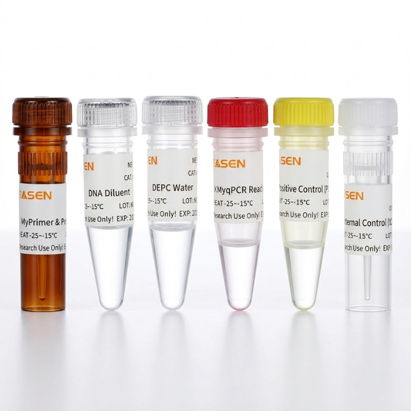 MycAway™  Mycoplasma Real-time qPCR Detection Kit (2G) _ 40619ES