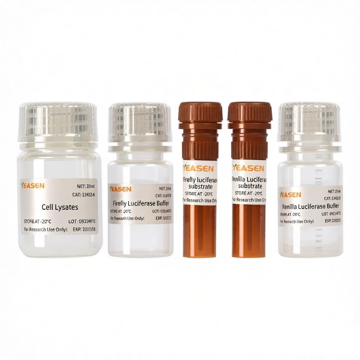 Dual Luciferase Reporter Gene Assay Kit _ 11402ES