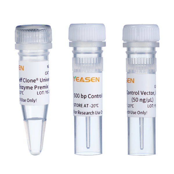 PCR Cloning Kit