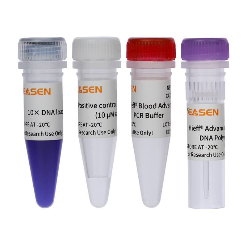 Blood Direct Test Blood Direct PCR Kit