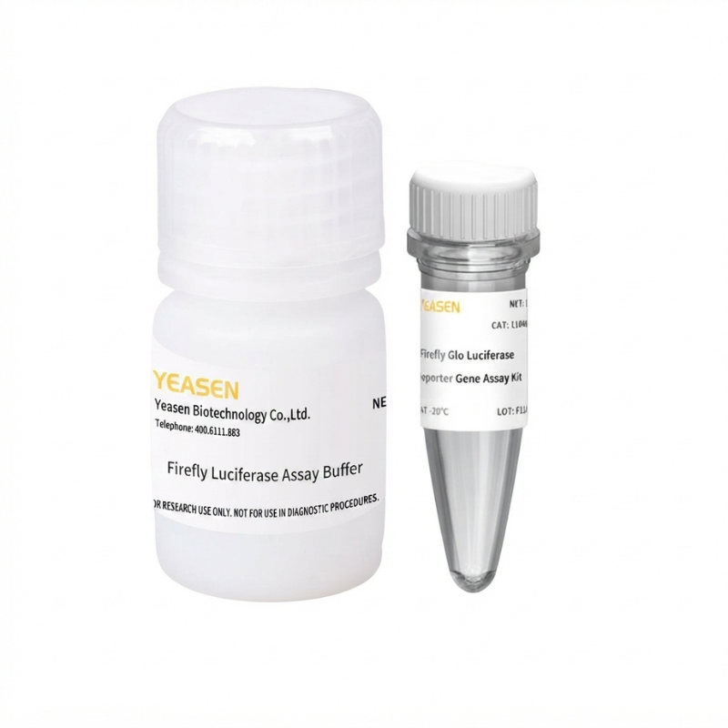Firefly Glo Luciferase Reporter Gene Assay Kit _ 11404ES