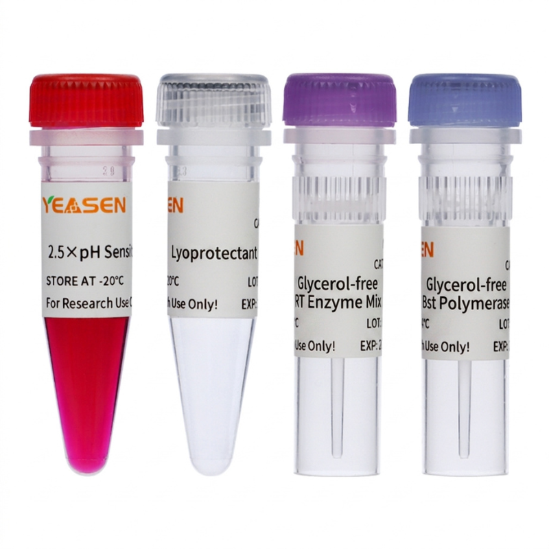 pH-Sensitive Colorimetric RT-LAMP Kit _ 13920ES