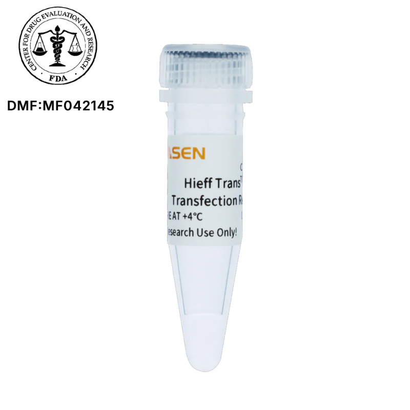 Hieff Trans™ UltraAAV Transfection Reagent (PEI) _ 40823ES