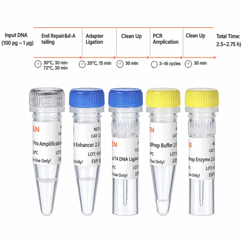 Hieff NGS™ DNA 라이브러리 준비 키트 2.0(기계식) _ 12927ES