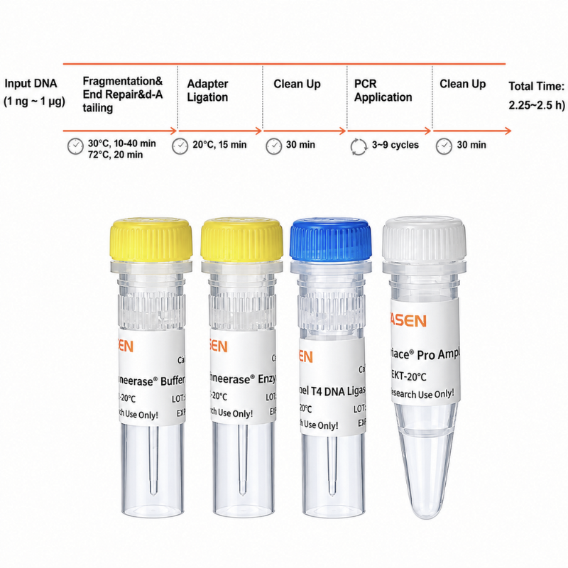 Hieff NGS ™ Onepot Pro DNA Library Prep Kit V3 (enzimatico) -12194es