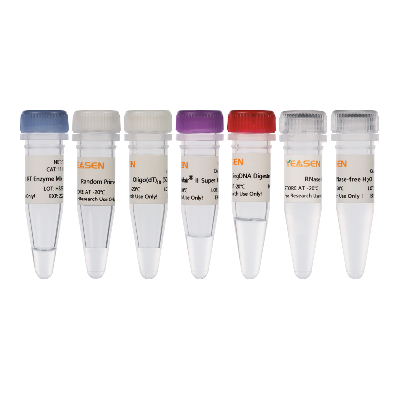 Hifair™ III 1st Strand cDNA Synthesis Kit (gDNA digester plus) _ 11139ES