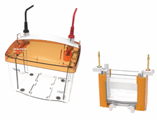 PET 2 Vertical Electrophoresis Tank（1.0mm） _ 80210ES