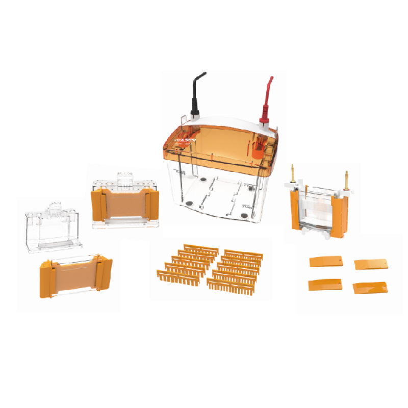 PET 2 Vertical Electrophoresis Tank（1.0mm） _ 80210ES
