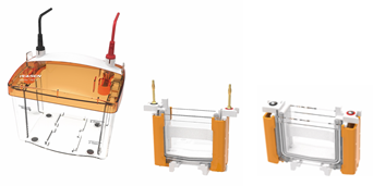 PET4 Vertical Electrophoresis Tank（1.0mm） _ 80211ES