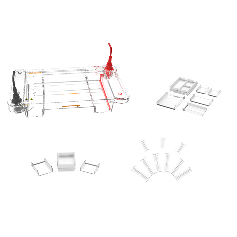 horizontal electrophoresis _ 80230ES
