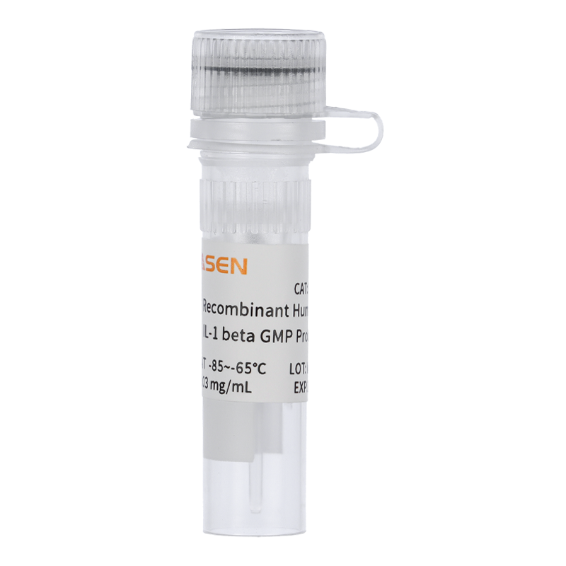 Recombinant Human IL-1 beta GMP Protein _ 90269ES