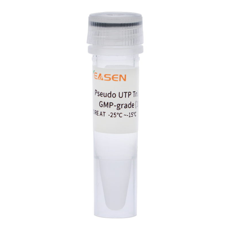 가짜 UTP 트리스 솔루션 GMP 등급(100 mM) -10656ES 