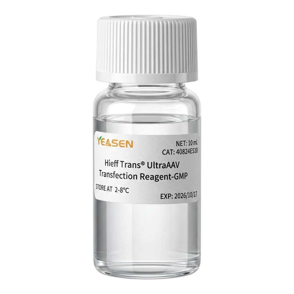 Hieff Trans™ UltraAAVトランスフェクション試薬（PEI、GMPグレード）_ 40824ES