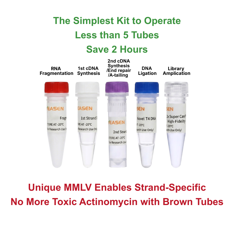 Hieff NGS ™ EVOMAX RNA Library Prep Kit (Strand-specifik) -12340ES