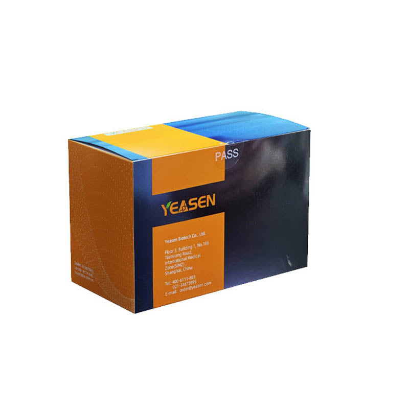 Hieff ™ BST Plus ДНК -полимераза (40 U/мкл) -14402ES
