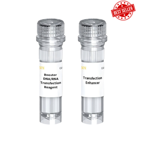 Hieff Trans™ Booster DNA/RNA Transfection Reagent _ 40801ES