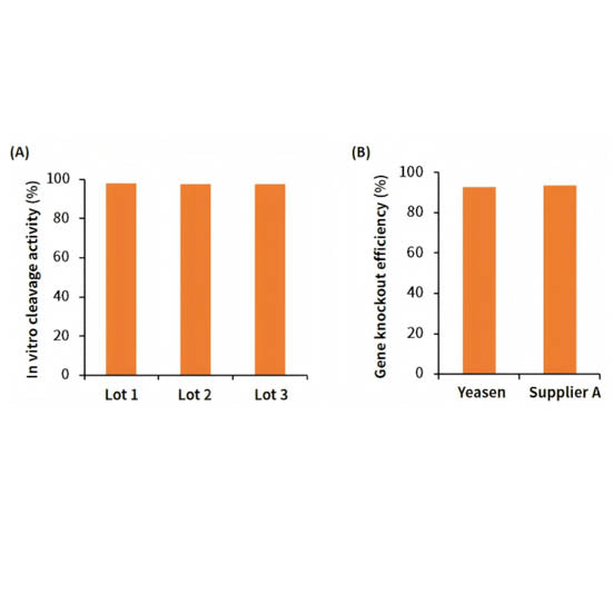 Cas9 Nuclease (10 mg/ml) _ 14701ES