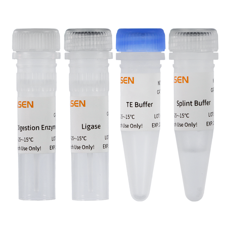Hieff NGS™ Fast-Pace DNA Cyclization Kit _ 13339ES