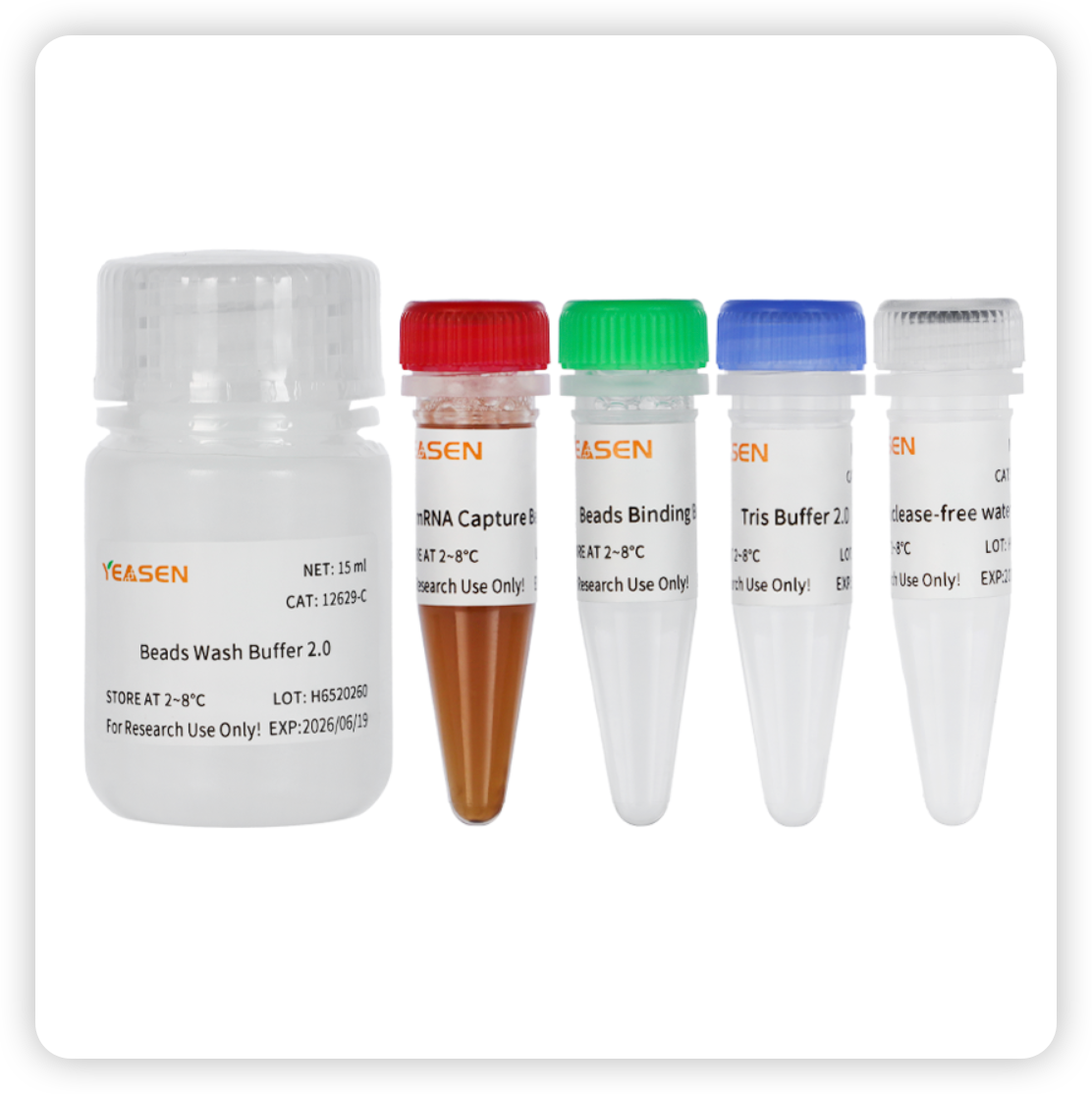 Hieff NGS ™ ARNA Isolation Master Kit V2 _ 12629ES