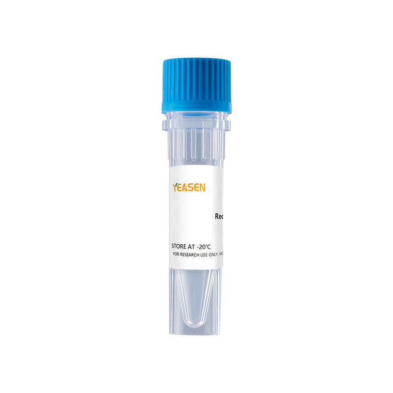Proteína de leptina humana recombinante _ 92542es