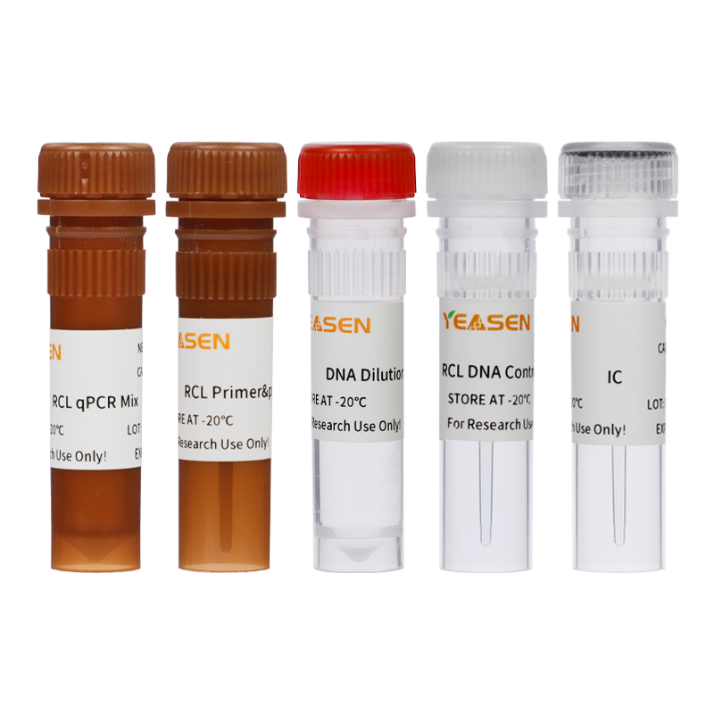 Rcl Testing Replication-competent Lentivirus (RCL) Detection Kit